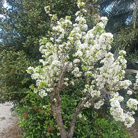 Villa Beatrice Serranova