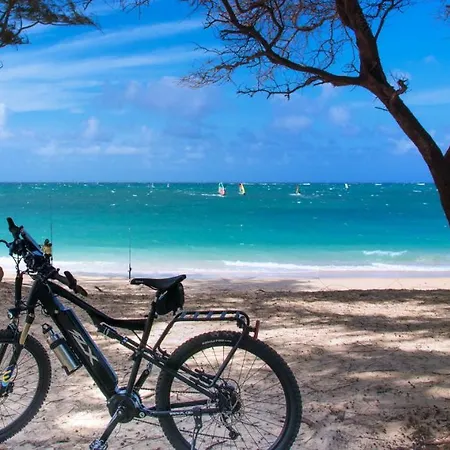 Beatrice Villa Serranova