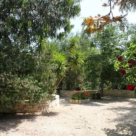 Beatrice * Serranova