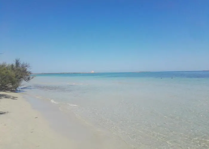 Beatrice וילה Serranova