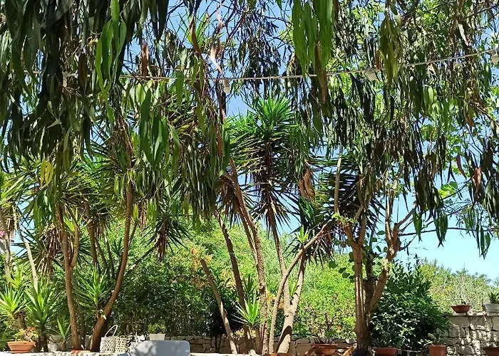 Beatrice * Serranova