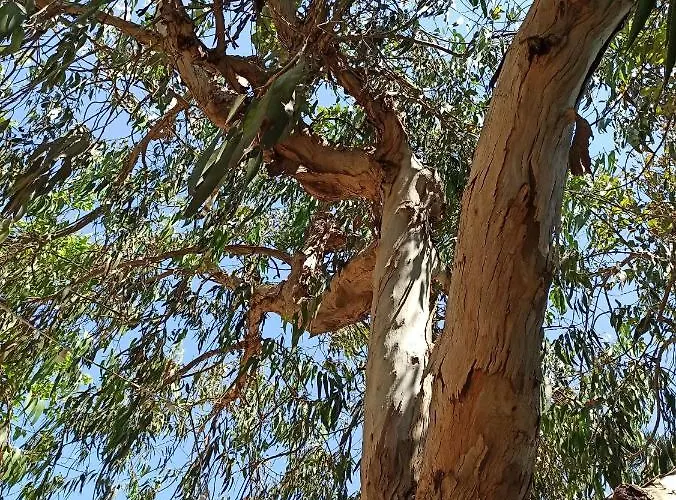 Villa Beatrice Serranova