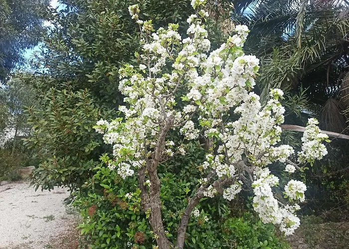 וילה Beatrice Serranova