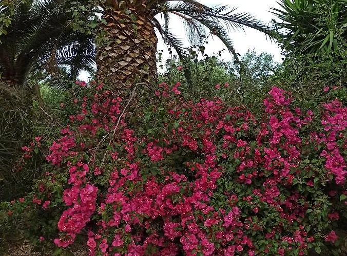 Beatrice Villa Serranova