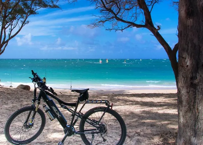 Beatrice Βίλα Serranova